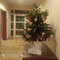 choinka odblaskowa 2025